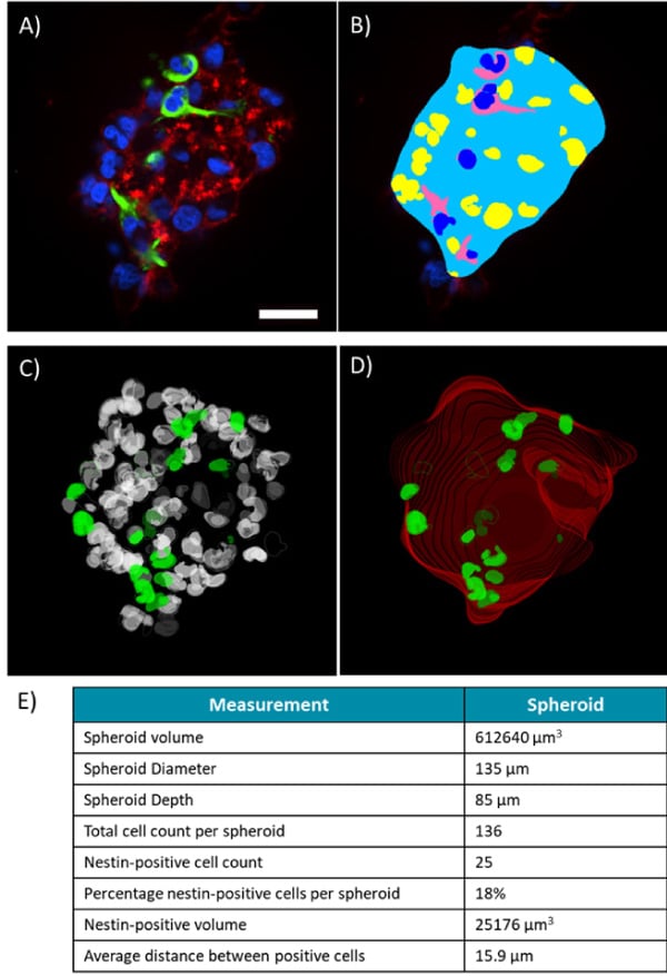 upm_biomedicals_application_note_gdxt_10_3a.jpg