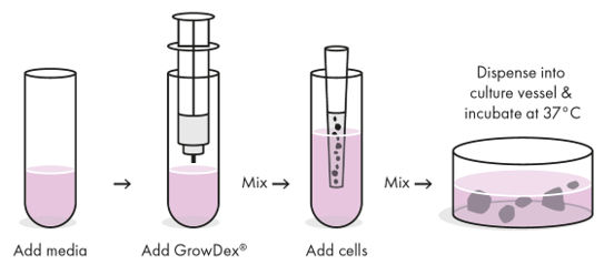 ANT001 Figure 1.jpg