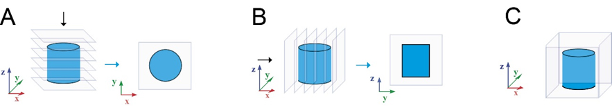 ANT004 Figure1.jpg