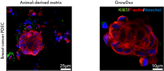 application-note-gdx-39-figure3.jpg