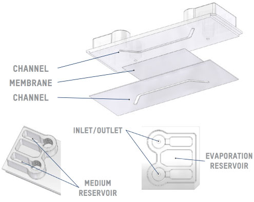 application-note-gdxt-11-figure-1.jpg