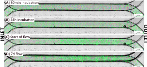 application-note-gdxt-11-figure-5.jpg