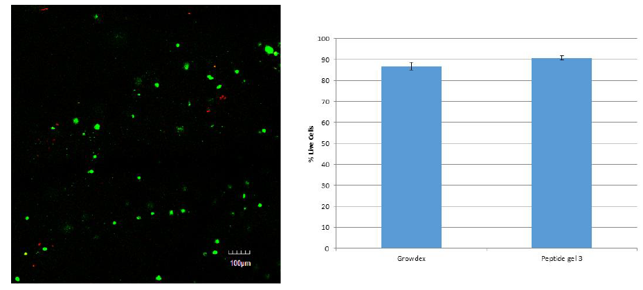 upm-biomedicals-note13-fig2.PNG