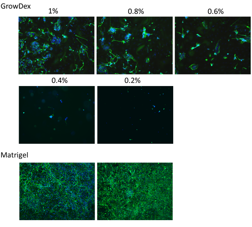 upm-biomedicals-note27-fig1.png