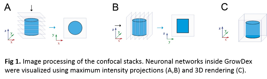 note 15 fig1.png