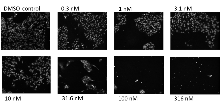 upm-biomedicals-note21-fig1.png