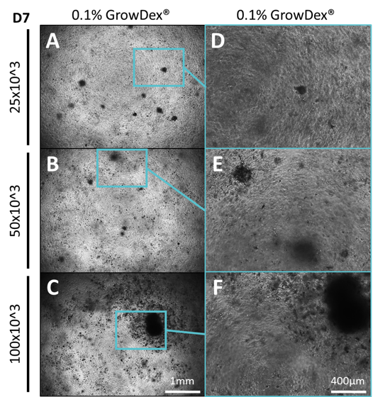 upm-biomedicals-note22-fig1.png