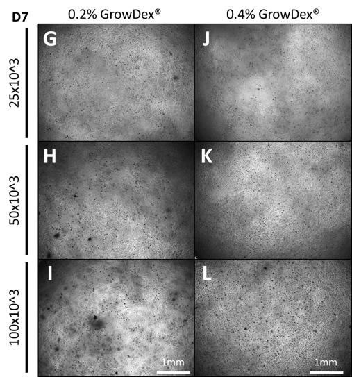 upm-biomedicals-note22-fig2.png