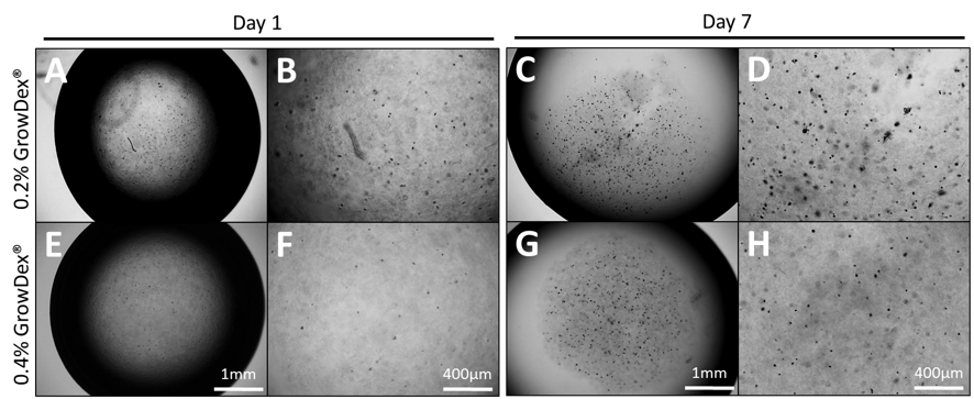 upm-biomedicals-note23-fig1.png