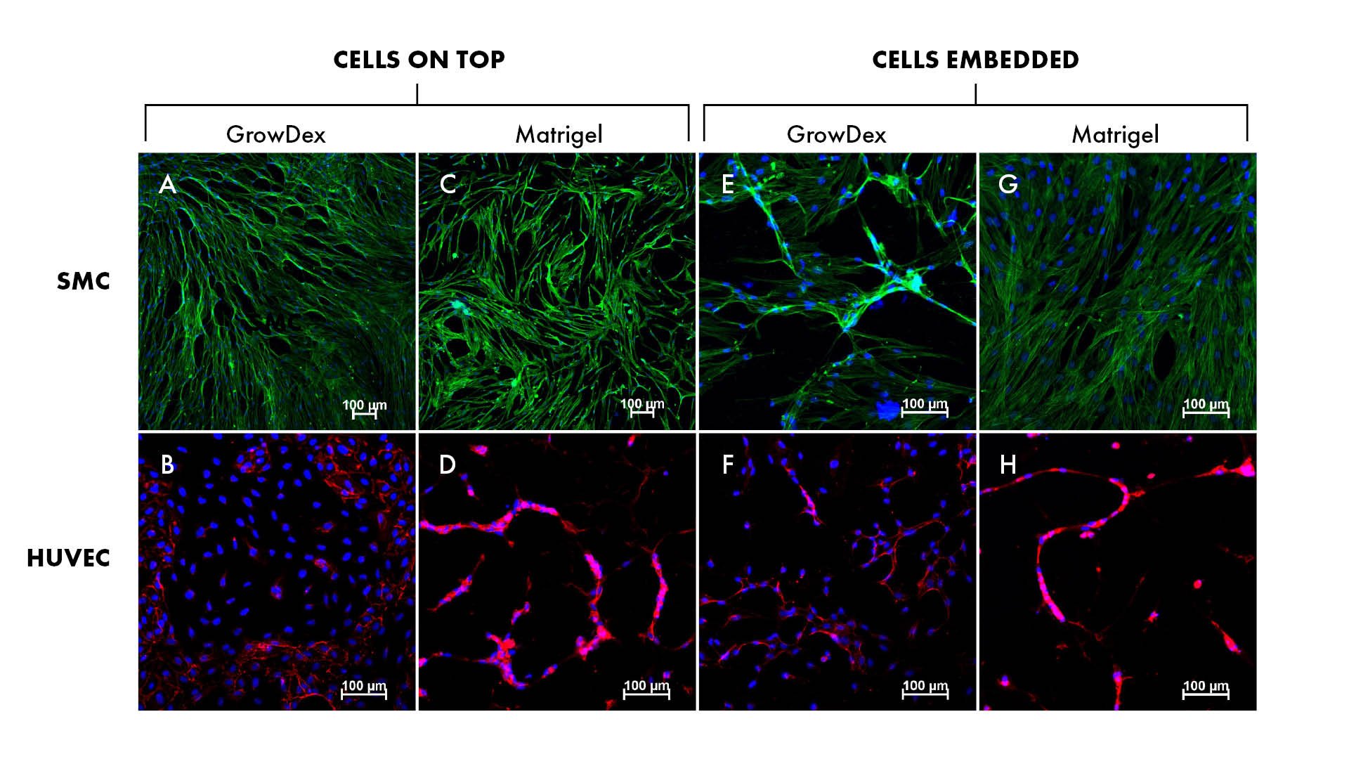 upm-biomedicals-note32-fig1.jpg