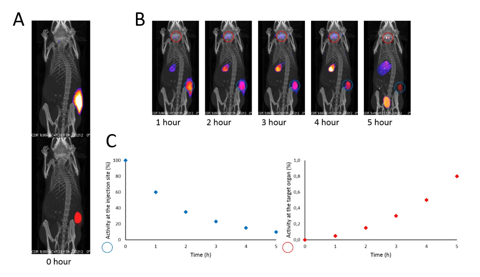 upm-biomedicals-note6-fig1.png