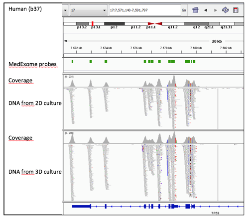 UPM-Biomedicals-snapshot-IGV.png