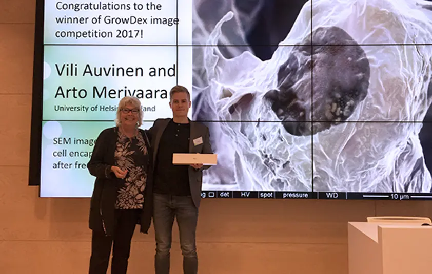 Announcing winners Announcing winners