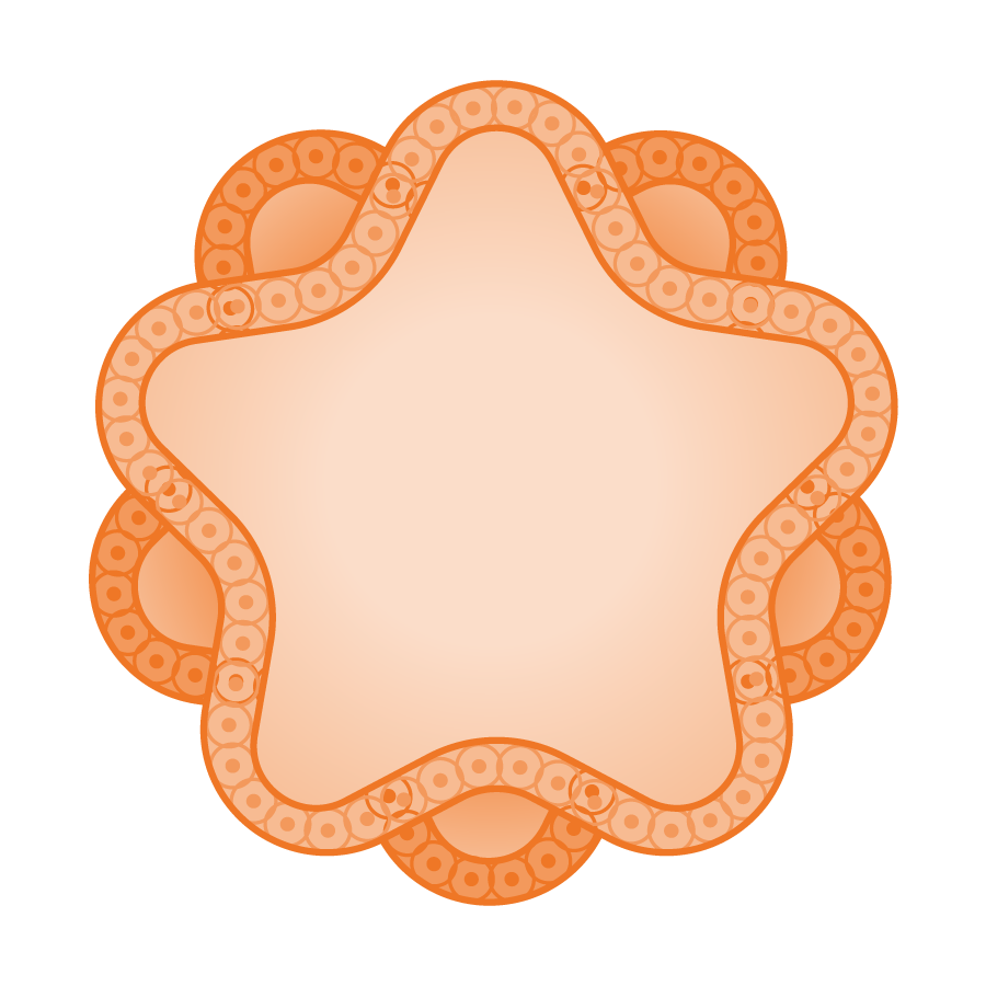 An illustration of an organoid